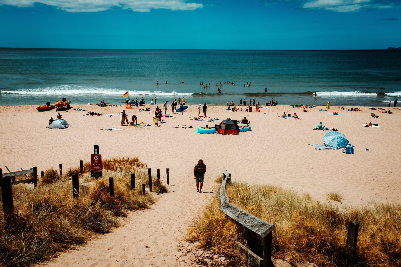 people on beach during daytime